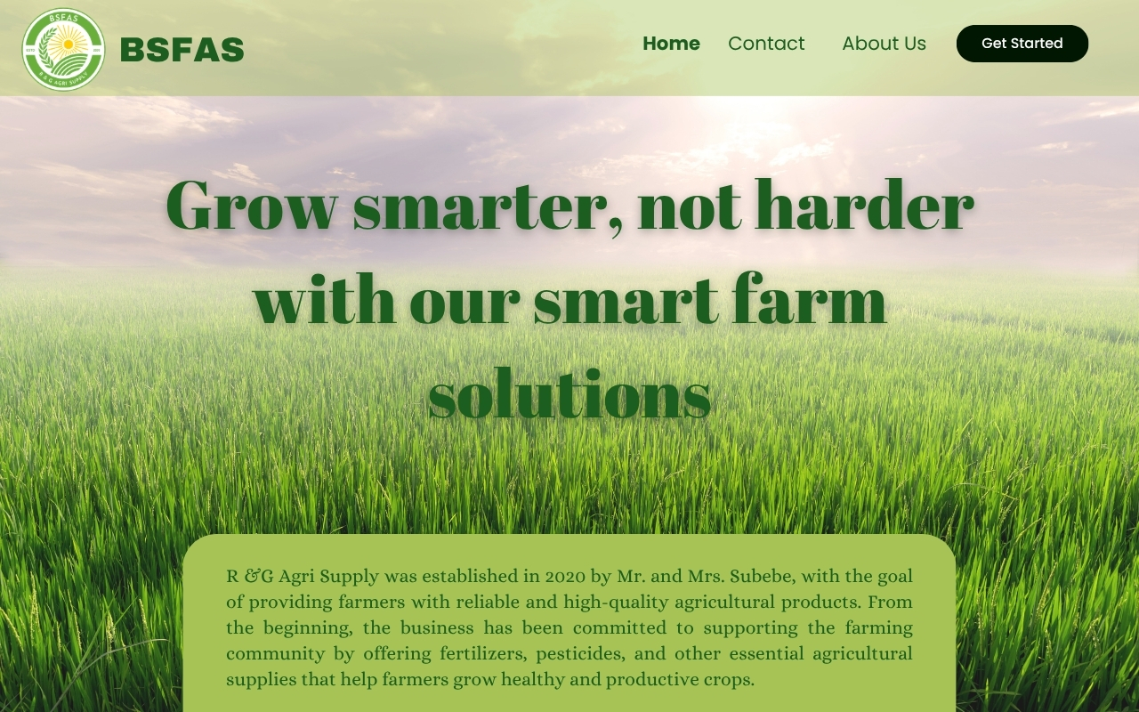BSFAS Project Image 2